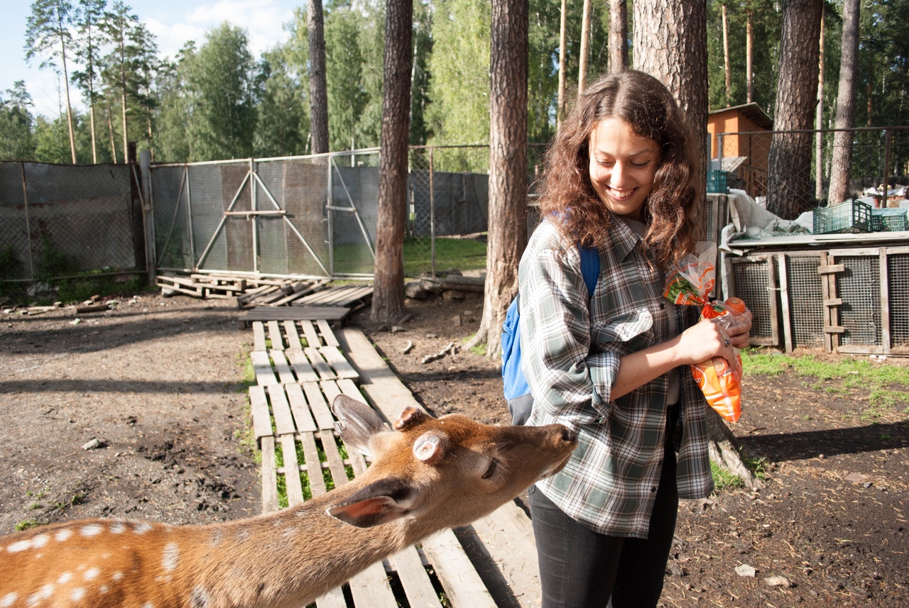 Тур: Черемшанские карьеры и оленья ферма